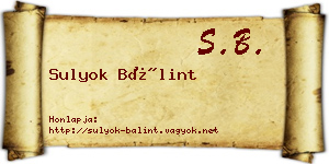Sulyok Bálint névjegykártya