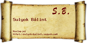 Sulyok Bálint névjegykártya